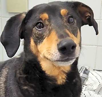 Photo of Smith (Smitty) Special Needs