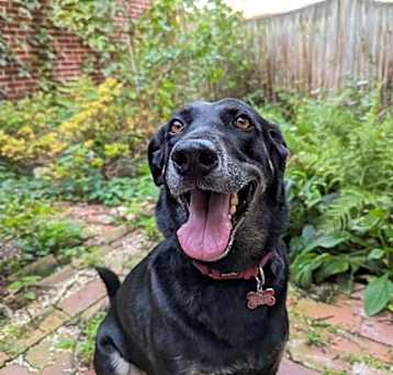 Photo of Lucy