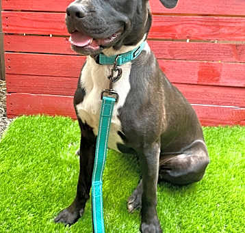 Photo of Sydney Ranger
