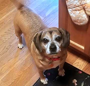 Photo of Hazel