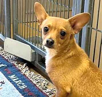 Photo of Finnegan