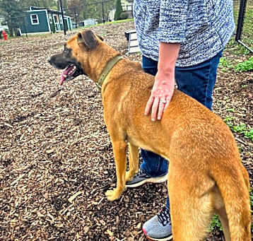 Photo of Bonnie (Courtesy Post)