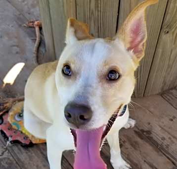 Photo of Nala Kai