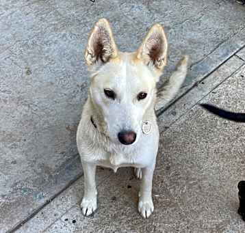 Photo of Luna