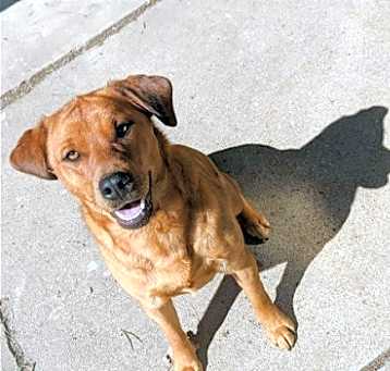 Photo of Athena