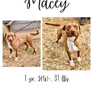 Photo of Macey