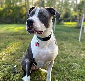 Photo of Lucy
