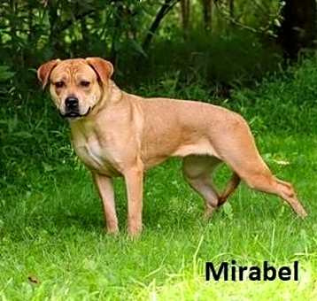 Photo of Mirabel