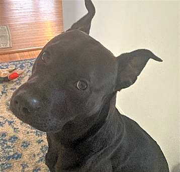 Photo of Zuko