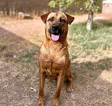 Photo of Sophie