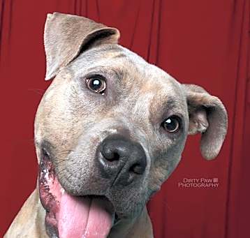 Photo of Bruce
