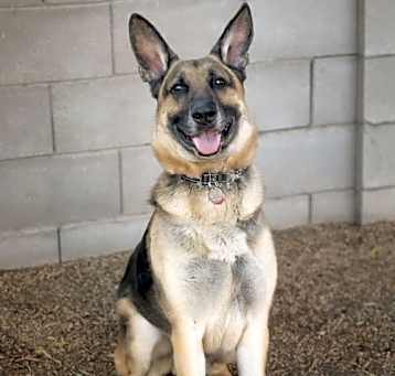 Photo of MAX