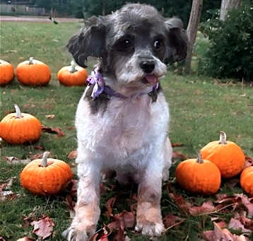 Photo of Lillian