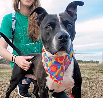 Photo of Macy