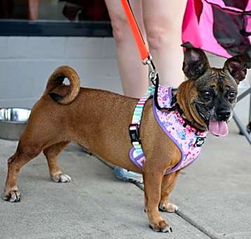 Photo of Roxy