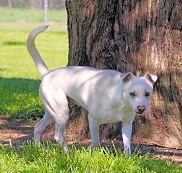 Photo of Griff