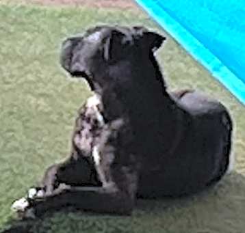Photo of Jr.