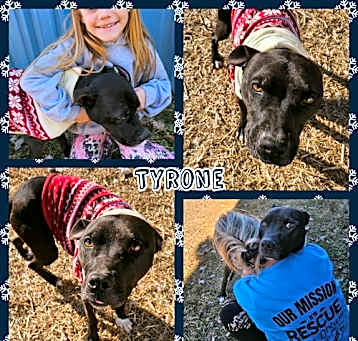 Photo of Tyrone