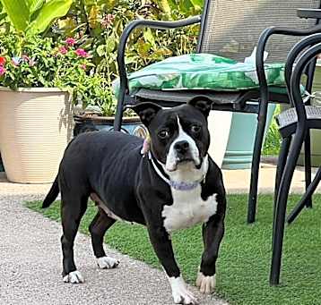 Photo of Big Mama -not so big any more!