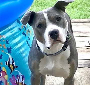 Photo of Jude