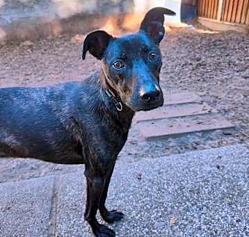 Photo of Bentley