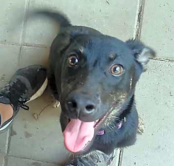 Photo of Maggie