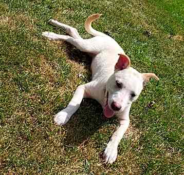 Photo of Athena (Iowa)