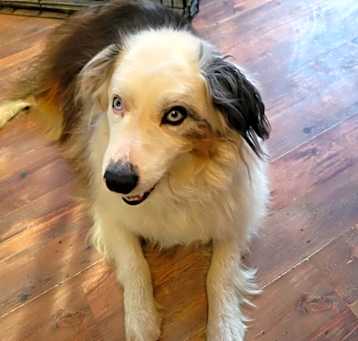 Photo of Marti