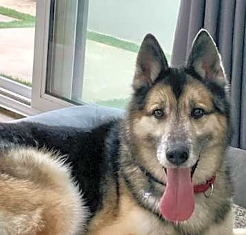 Photo of Lovely Rilo