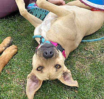 Photo of Ellie Mae