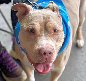 Photo of Debo