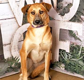 Photo of Mindy