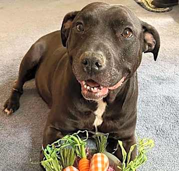 Photo of Chyna