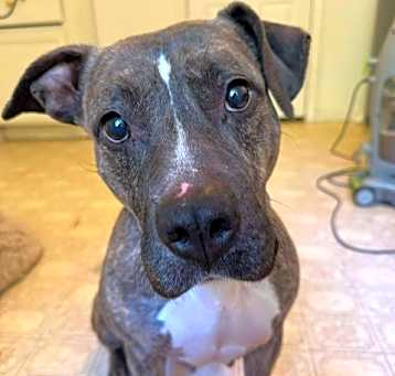 Photo of Trinity  A045674