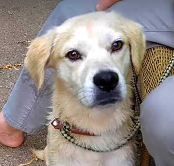 Photo of Maggie