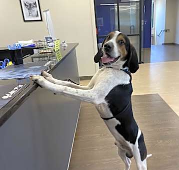 Photo of Flint