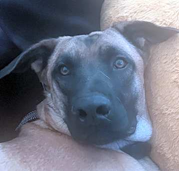 Photo of Sonny 