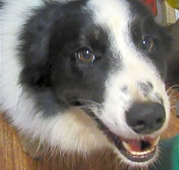 Photo of Luke