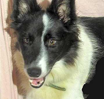 Photo of Lexi