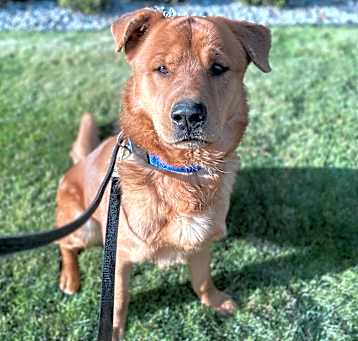 Photo of Goliath