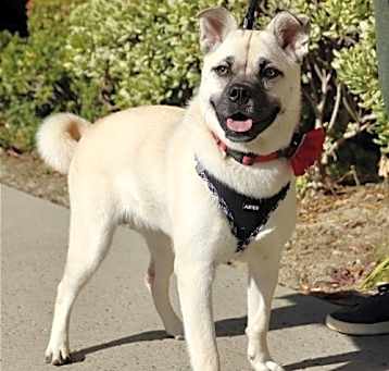 Photo of Pippa