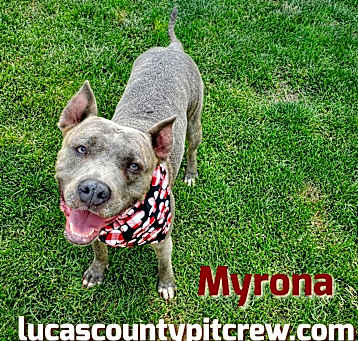 Photo of Myrona