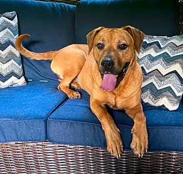 Photo of George