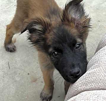 Photo of Huey