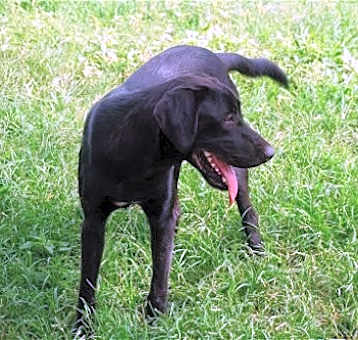 Photo of SIMON