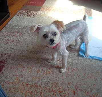 Photo of Isabella