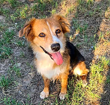 Photo of LuLu