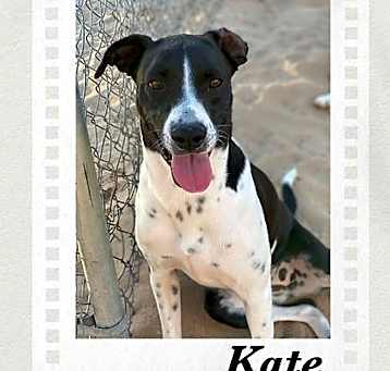 Photo of Kate