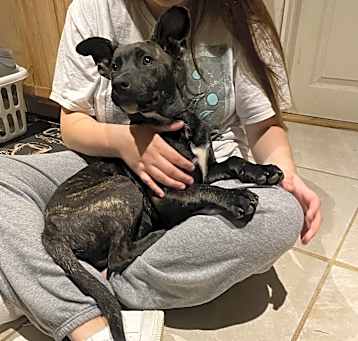 Photo of Blu 