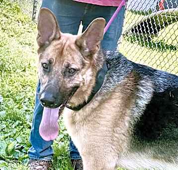 Photo of Trooper
